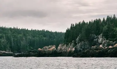 Maine landscape