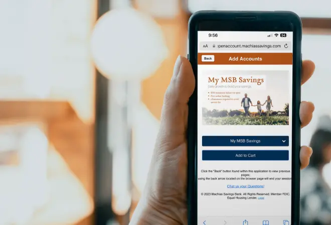 cell phone showing the my msb savings page