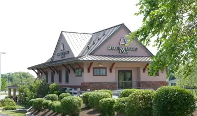 Machias Savings bank building with bushes in front