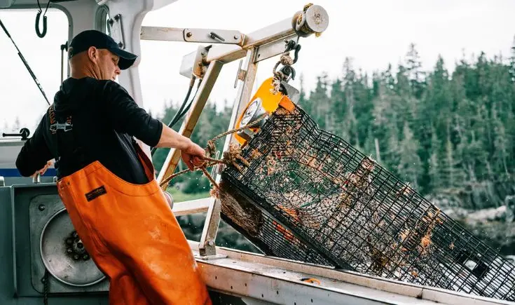 man on a boat pulling in crab cage