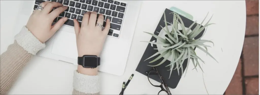 a person typing on a laptop computer, with a plant next to it