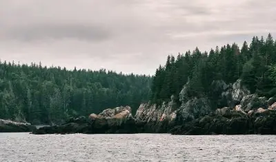 Maine coastline