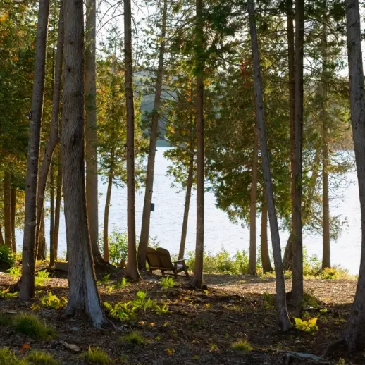 a view of a peaceful forest, with two chairs facing a lake