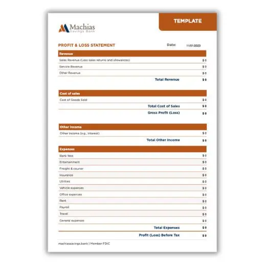 profit and loss statement template