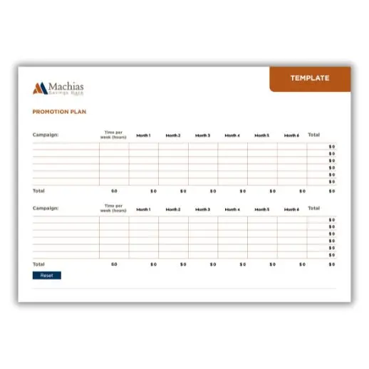 Promotional plan template with campaign, budget, time and months.