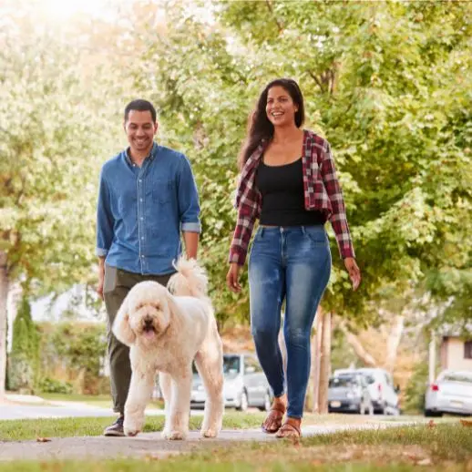 Man and woman walking dog outside